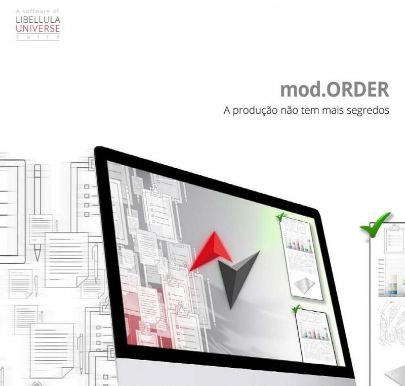 LIBELLULA ORDER